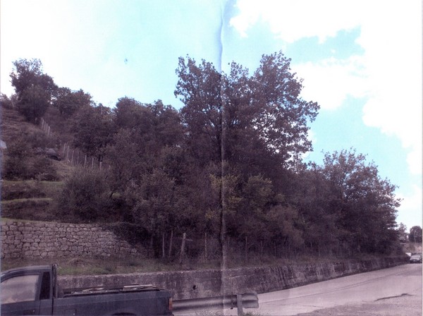 Foto n. 1 del terreno edificabile di Ucria