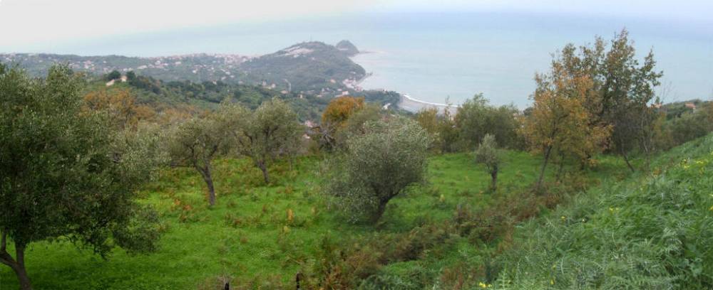 Terreno in vendita con vista sul mare su San Gregorio Naso - Sicilia