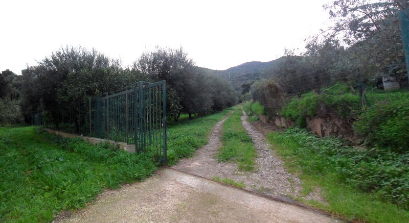 Terreno Contrada Piscittina