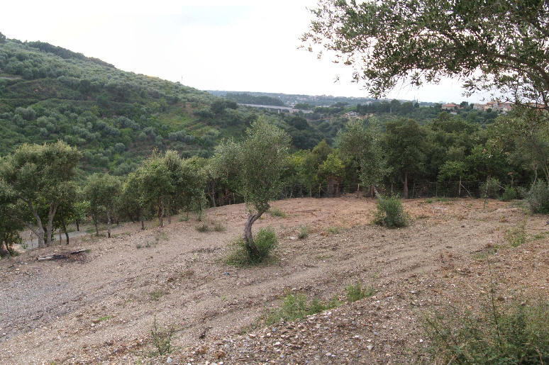 Foto 2 del terreno in vendita nel comune di Naso - Sicilia