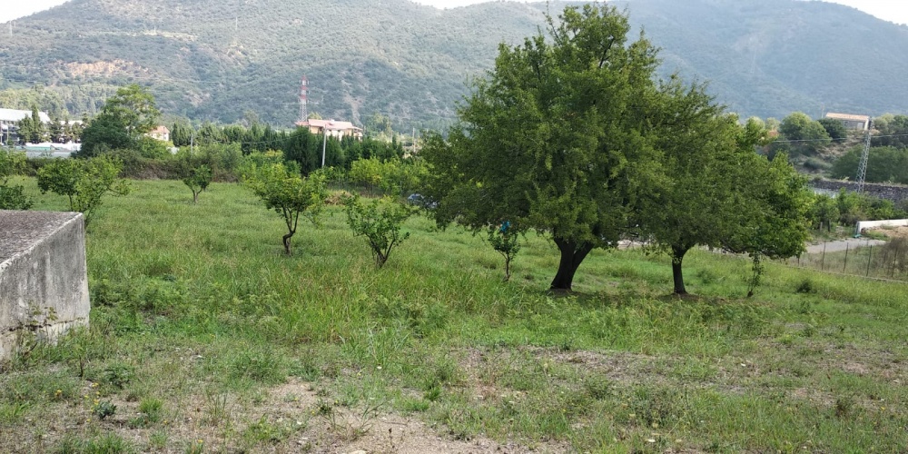 Vendesi terreno agricolo con rudere nel comune di Mirto - Sicilia